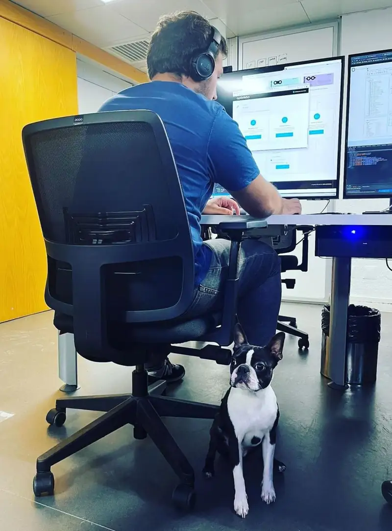 Programador da Bluesoft de auscultadores a trabalhar em dois monitores, com um cão ao lado da cadeira